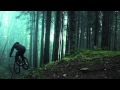Amazing Freeride Forest Amazing Freeride Forest