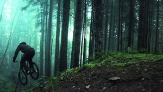 Amazing Freeride Forest