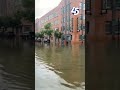 Paddle boarding in Fells Point Debby flooding