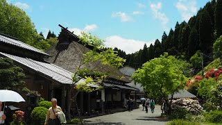 東峰村　小石原焼をぶらぶら