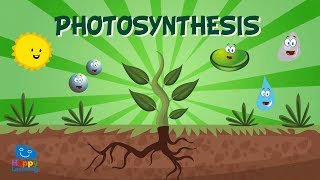 Photosynthesis | Educational Video for Kids
