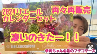 【多肉植物】2024リエールカレンダーセット❣️再々再販売の内容が凄かった‼️