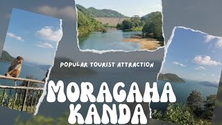 Experience the Breathtaking Beauty of Moragahakanda Viewpoint - A Must-Visit Destination