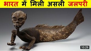 क्या जलपरियाँ सच में होती हैं ? DO MERMAIDS REALLY EXIST?