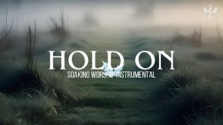 Hold On  - Soaking Worship Instrumental | Prayer and Devotional