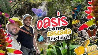 MAJESTUOSO OASIS con hermosas flores y una CASCADA ESPECTACULAR en Nariño COLOMBIA!!!