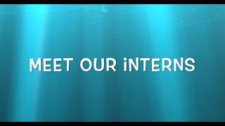 Meet our Interns - 2016