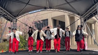 さくら祭 2023 Lock