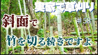 【実家で草刈り】タケノコを切りつつ、また、同じところで竹を切るんですけどね。　＃58