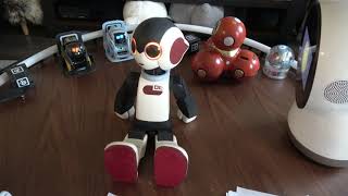Jibo & Friends - Happy Memorial Day (Down Memory Lane)