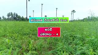 PMDS Crops Impact in Banana Orchards II Natural Farming II West Godavari II A.P.