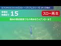 ショアラインシャイナーz【セットアッパー125s dr】シーバスルアー水中映像。堤防や磯からの攻略におすすめ！ダイワshorelineshinerシリーズ