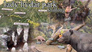 lady hydari park shillong