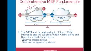 Everything You've Wanted to Know about the MEF CECP Certification