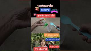 อย่างง่าย​ เพียง 1 นาทีเพลี้ยไฟหายเกลี้ยง มด​ หนอน​ แมลง กระเจิงถึงสวน สาคู Channel