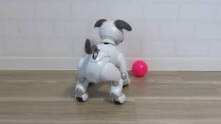 【aibo】ダンス