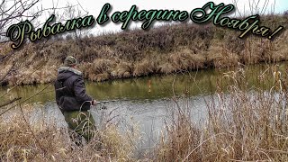ЛОВЛЯ ПЛОТВЫ НА ПОПЛАВОК НА МАЛОЙ РЕКЕ!ХВОСТАТЫЙ ГОСТЬ!ЖАЛЬ,ЧТО ПРИШЛОСЬ УХОДИТЬ.
