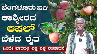 1 ಎಕರೆಯಲ್ಲಿ 10 ಕ್ವಿಂಟಲ್ ಆಪಲ್ ಬೆಳೆದ ಬೆಂಗಳೂರು ರೈತ | Apple farming in Karnataka Hoskote #kannada