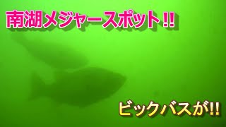 #琵琶湖#水中映像#南湖【南湖メジャースポットV3】