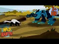 Every Creature Rescue Season 1 | Protecting The Earth's Wildlife | New Compilation | Wild Kratts