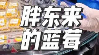 胖东来上架就“报损”一半的蓝莓，你喜欢吗？胖东来 胖东来的一些小细节 日常vlog 逛超市 生活记录