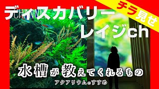 ホントは深い、水槽の哲学 “アクアリウムのすすめ”【ディスカバリーレイジチャンネル】