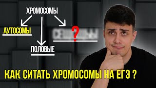 Виды хромосом | Аутосомы Половые хромосомы | ЕГЭ биология