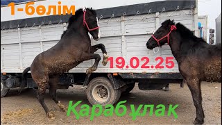 Жылқы бағасы 1-бөлім. 19.02.25 Қарабұлақ мал базары