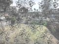 Nditungamirirei Jehovah