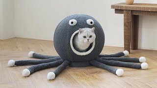 Funny Octopus Cave Cat Bed