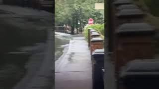 Look At This River In Gatlinburg Flooded