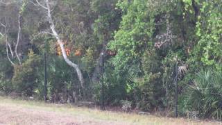 04.10.2017 Pasco Brush Fire