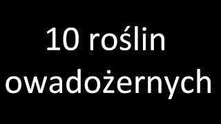 10 roślin owadożernych