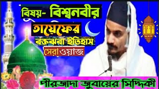 তায়েফের জমিনের রক্তাক্ত ইতিহাস পীরজাদা জুনায়েদ সিদ্দিকী#( ভাইজান) ফুরফুরা শরীফ হুগলি