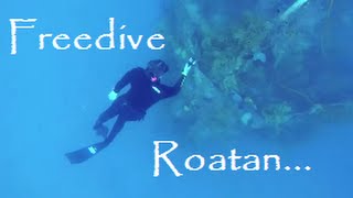 Freediving Roatan, Honduras with Jeff Watson