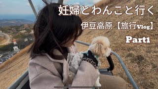 【家族みんなで旅行をしよう】静岡旅行Part1【妊婦】【犬】【Vlog】