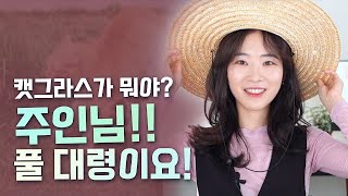 고양이 풀 뜯어먹는 소리..? 여러분 고양이가 왜 풀을 먹을까요? (feat.캣그라스)