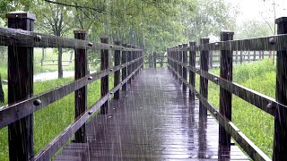 A stormy walkway, Rainsounds to help with Insomnia, White noise for Fast Sleep, Relaxation