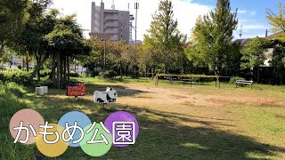 新潟市中央区柳島町１丁目にある公園【かもめ公園】