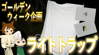 5月にライトトラップをした結果…【ゴールデンウイーク】