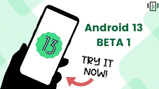 Android 13 Beta 1 INSTALL on Your Smartphone! [Dual Boot]