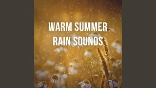 1 Hour of Warm Summer Rain Sounds to Calm Down & Relax