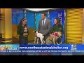 Pet Parade: Northeast Animal Shelter