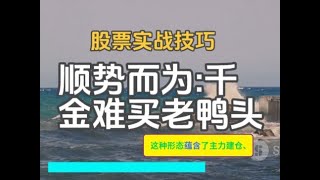 股票实战技巧:顺势而为:千金难买老鸭头.“老鸭头”形态是短线投资者常用的一种战法，通过精准捕捉主力行为轨迹，寻找股票进入第二波行情的启动点。用热门个股CRM和SE为例详细说明。