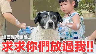 【好味小姐】求求你們放過我！！場面異常混亂...｜好味貓日常247