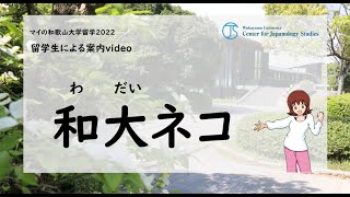 留学生による案内video⑥和大ネコ