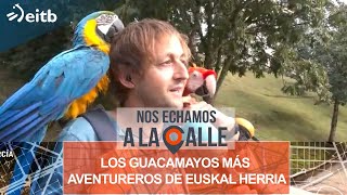 Conocemos en Irun a los guacamayos más aventureros de Euskal Herria: ¡han visitado 11 países!