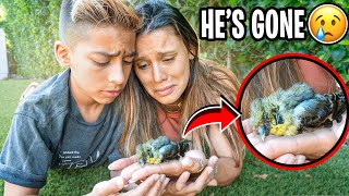 WE COULDN'T SAVE HIS LIFE.. (HE'S GONE) 💔 | The Royalty Family