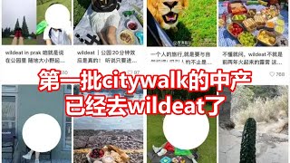 第一批citywalk的中产 已经去wildeat了