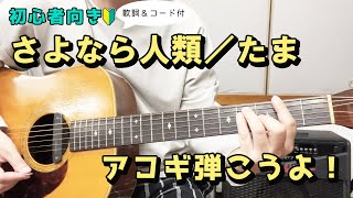 【弾き語り練習用】さよなら人類／たま　歌詞＆ギターコード付き！